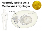 Nagroda Nobla z medycyny i fizjologii 2013