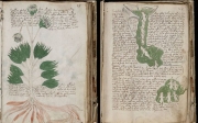 Próba rozszyfrowania manuskryptu Voynicha