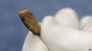 Francja - Sensacyjne odkrycie we wschodnich Pirenejach, wykopano ząb ludzki sprzed ponad 550 tysięcy lat