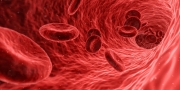 To tylko teoria: Badanie żywej kropli krwi?